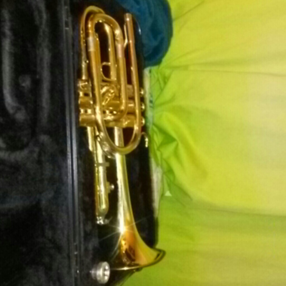 Trumpet / cornet